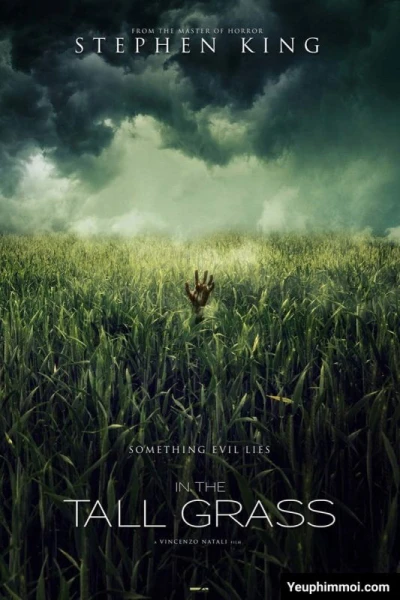 Giữa bụi cỏ cao - In the Tall Grass (2019) Giữa bụi cỏ cao - In the Tall Grass (2019)