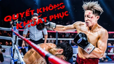 Quyết Không Khuất Phục - Knockout